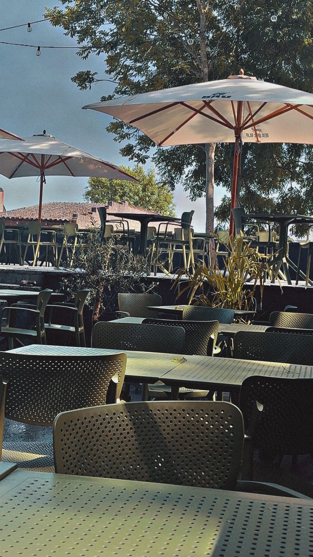 Galerie